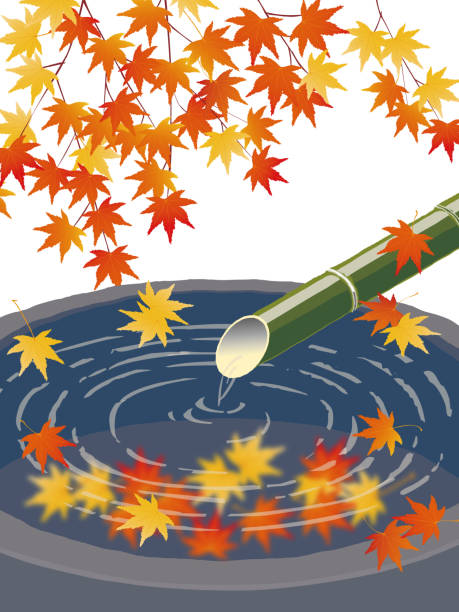 illustrazioni stock, clip art, cartoni animati e icone di tendenza di tradizionale fontana d'acqua in stile giapponese nel giardino - bamboo fountain illustrations