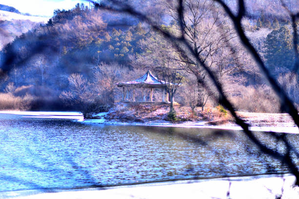 Winter lake landscape