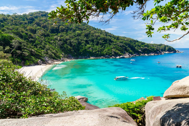 istock View Point at Similan island, Warm and clear azure ocean waters, Phuket 1293953282