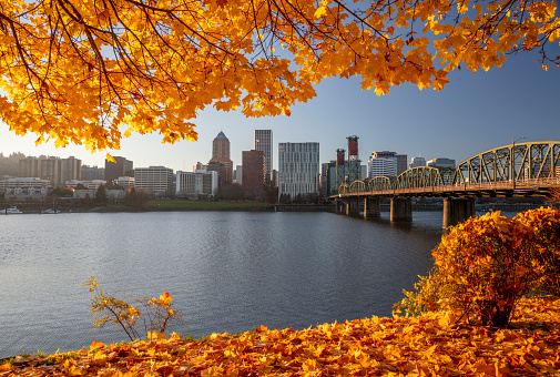 Autumn in the city of Portland, Oregon.