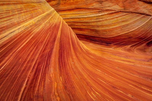 istock The Wave sandstone formation in Arizona 1293957431