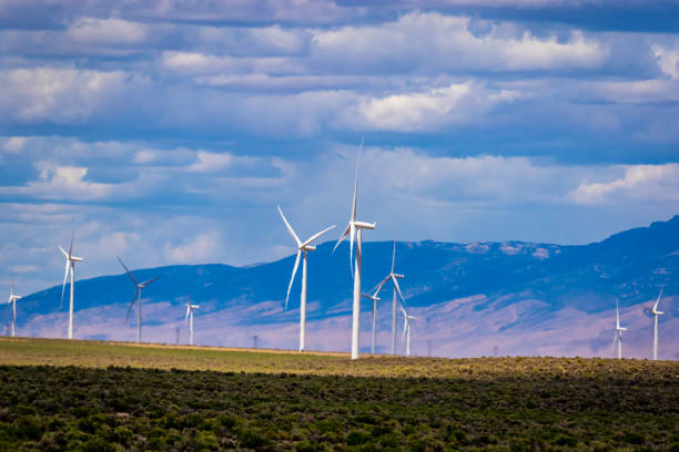 istock Wind turbines at Spring Valley Wind Farm 1293960073