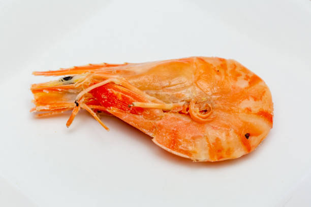 camarão de cabeça cozida doce - prepared crustacean flash - fotografias e filmes do acervo
