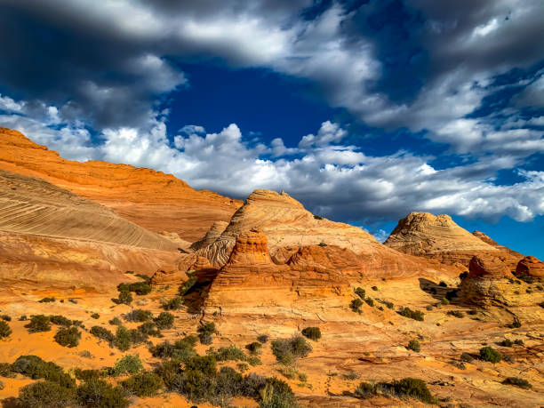 istock Sandstone formations in Coyote Butte North 1293960731