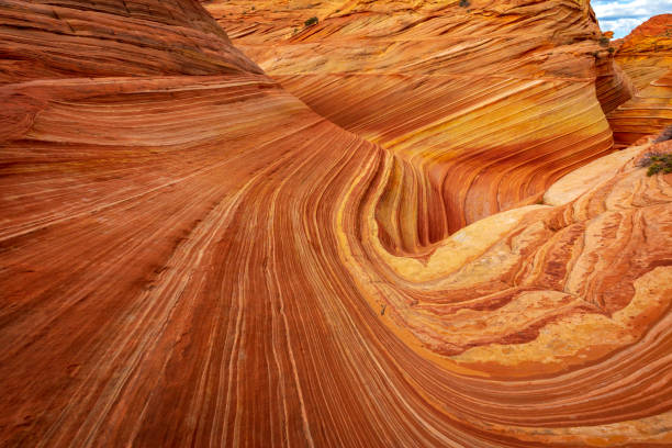istock The Wave sandstone formation in Arizona 1293960829