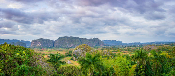 istock The View of Vinales Valley 1293962733