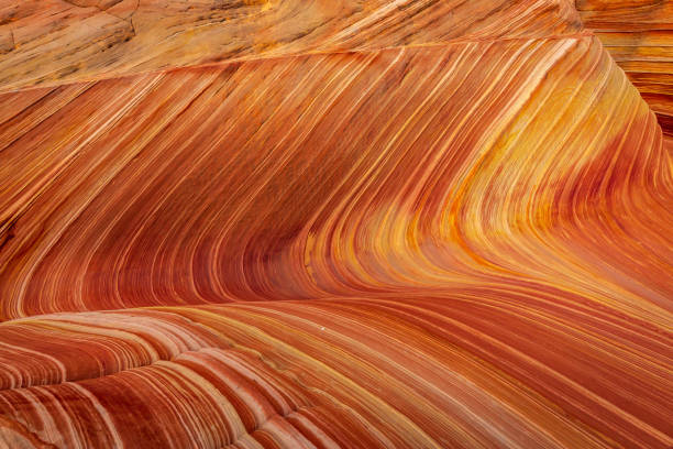 istock The Wave sandstone formation in Arizona 1293962855