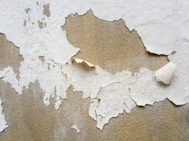 istock The paint on the old cement wall is peeling. 1293964754