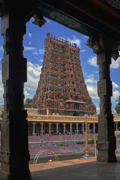 золотой танк лотоса и gopurams meenakshi амман храм исторический индуистский храм, расположенный в городе мадурай в тамилнаде - tamil nadu tamil temple amman стоковые фото и изображения