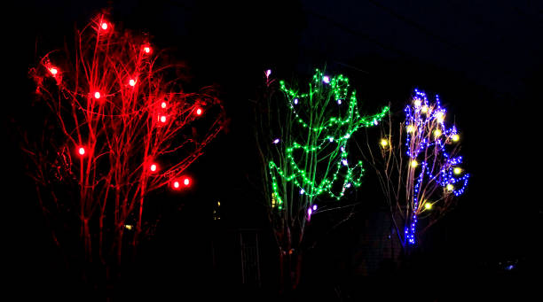 istock Three street trees decorated with different colored Christmas lights. Iluminating up the night. 1293974825