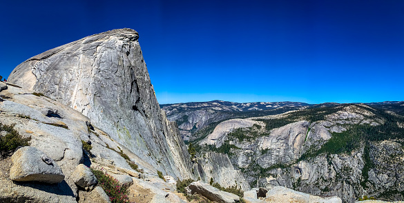 View through the trees of Half Dome in Yosemite Valley, California