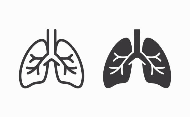 ilustraciones, imágenes clip art, dibujos animados e iconos de stock de iconos de los pulmones humanos sobre fondo blanco. - pulmón