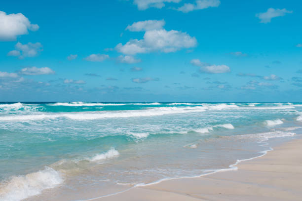 istock Scenic View Of Beach Against Sky 1293975614