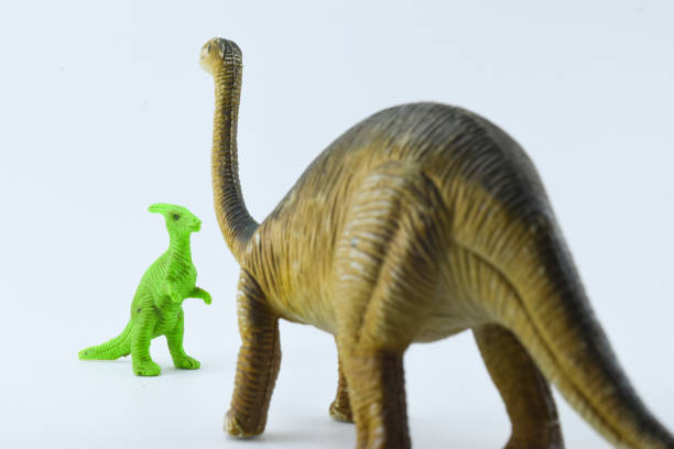 istock Isolated photo of a rubber brontosaurus, back view 1293976613