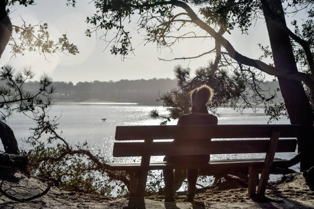 istock woman sitting alone on a bench facing the sea 1293978175