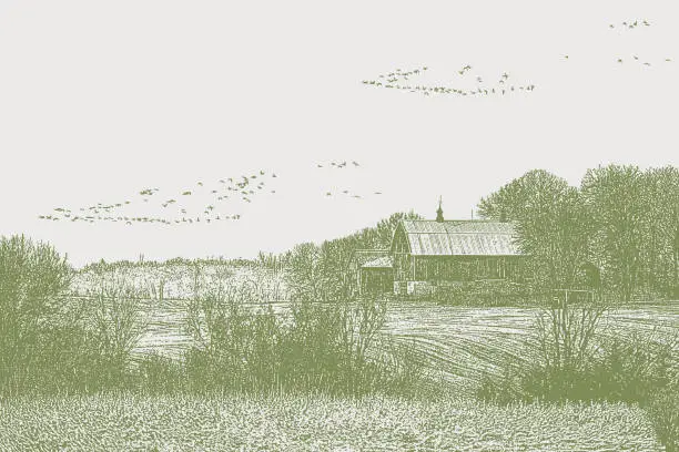 Vector illustration of Farmhouse with geese flying in v formation