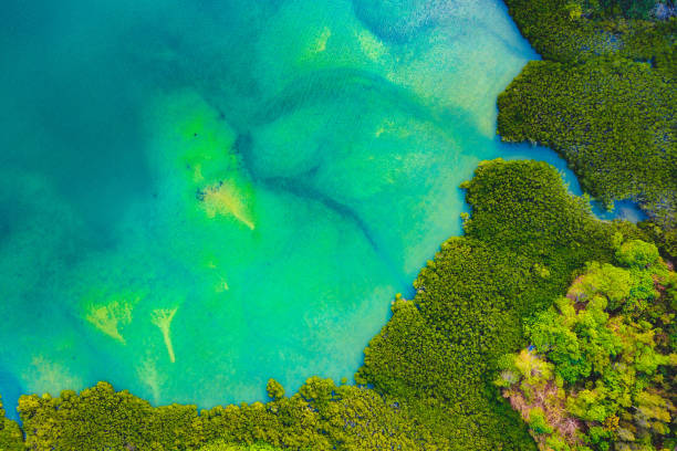 Aerial view over Wetland, Hong Kong