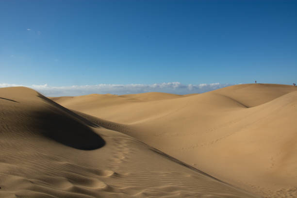 istock the shape of the dunes shaped by the wind 1293987136