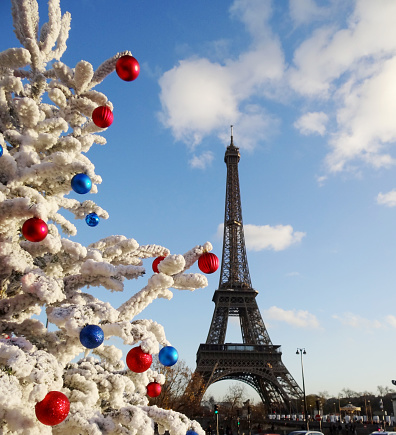 On a sunny winter day, Christmas tree in front and the Eiffel Tower in the background