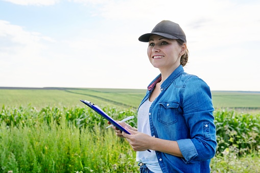 Agricultural worker woman with working folder in green corn field, female working on farm, analyzes the harvest, copy space