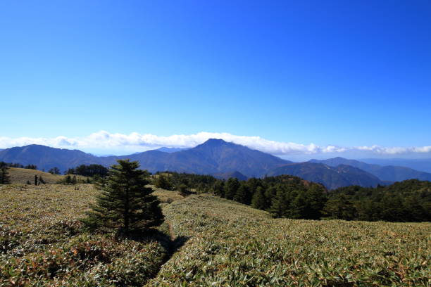 Mt. Ishizuchi, View from the Kamegamori mountain trail, autumn (Shikoku) Location:Saijo city, Ehime prefecture, Japan
It was shot in Kamegamori. mt ishizuchi stock pictures, royalty-free photos & images