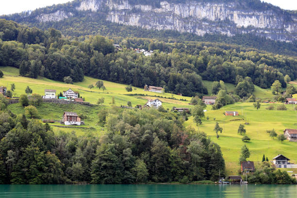 istock Rural landscape on Lake Lucerne 1294003317
