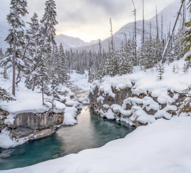 istock Marble Canyon in Kootenay National Park 1294004302