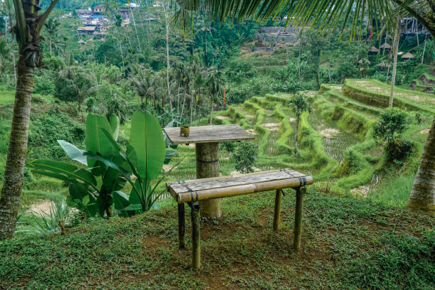 istock Beautiful rice terraces in Bali island 1294006201