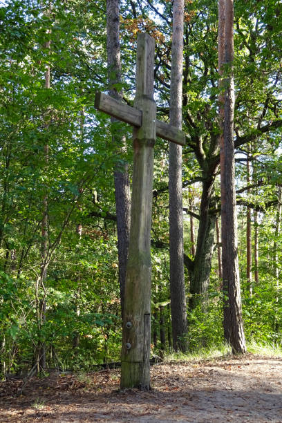 istock Summit cross on Ehrenpfortenberg in Tegel forest, Berlin 1294006889