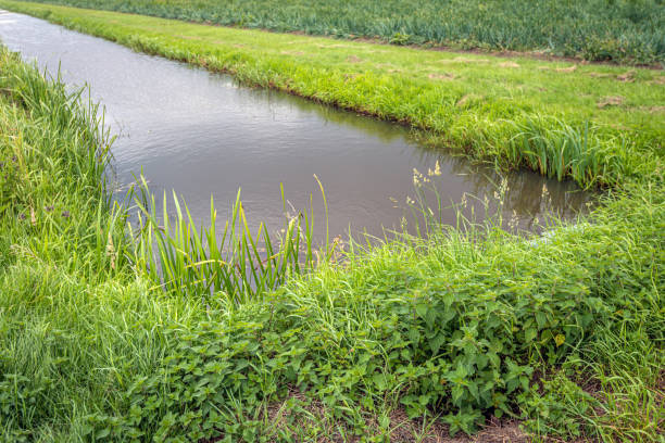 istock At the end of a ditch 1294008815