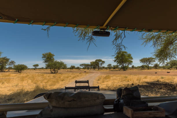 istock game drive on a guest farm in Namibia 1294010597