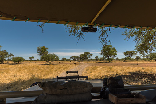 game drive on a guest farm in Namibia