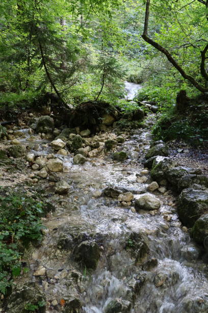 istock Mountain creek, Voje Valley, Bohinj, Slovenia 1294010965