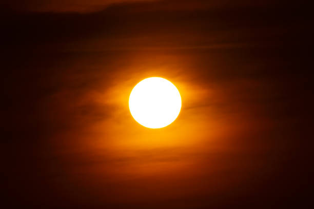 big sun and ray light on dark silhouette background