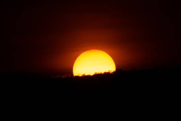 big sun and ray light on dark silhouette background
