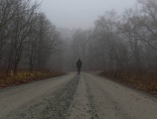 istock At a walk into jenaer forest at heavy fog 1294012650