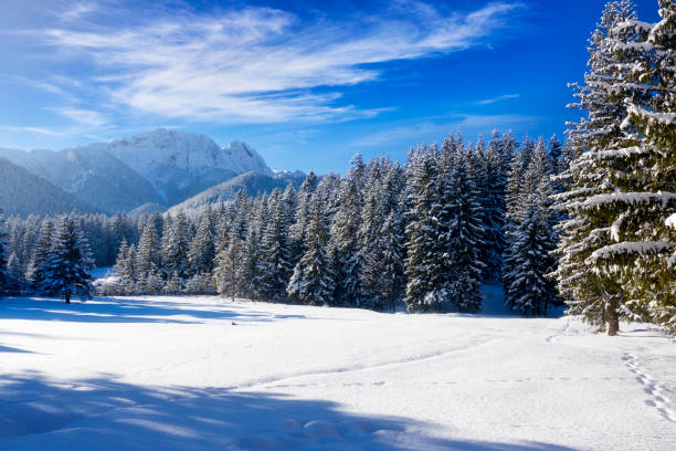 Sunset in front of the mount Mangart in the Italian Alps