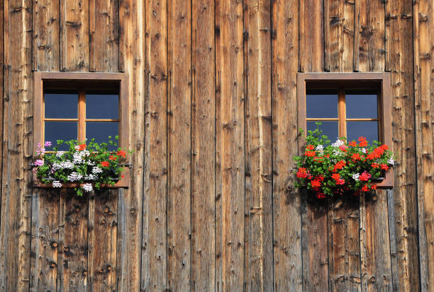 istock typical house in ausseerland, austria 1294014870
