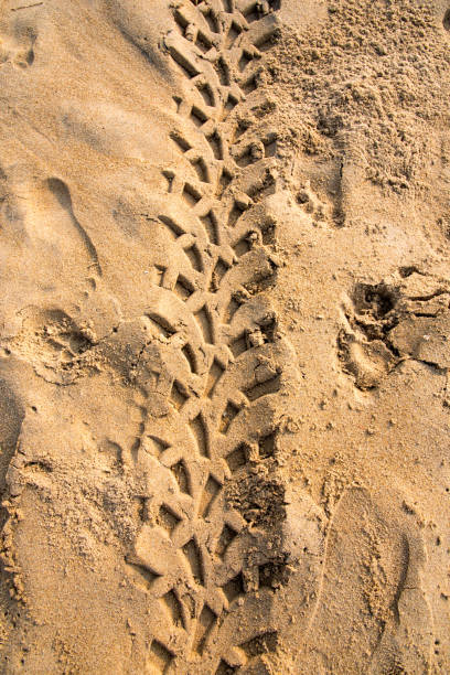 istock Tyre marks of a vehicle creating pattern on sand. 1294015540