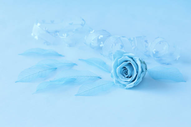 design of Blue rose and Skeleton leaf