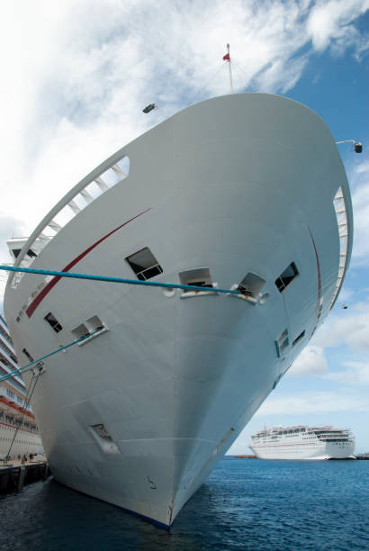 istock Cozumel Island Moored Cruise Ships 1294016710