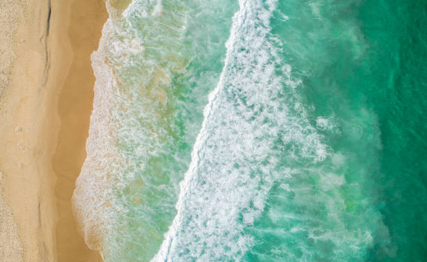 istock Aerial view of beach; waves rolling toward the shore 1294017369