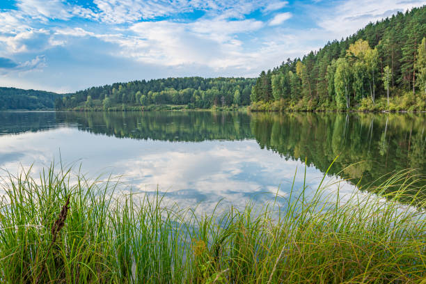 istock Reflection of trees in mirror of lake 1294018477