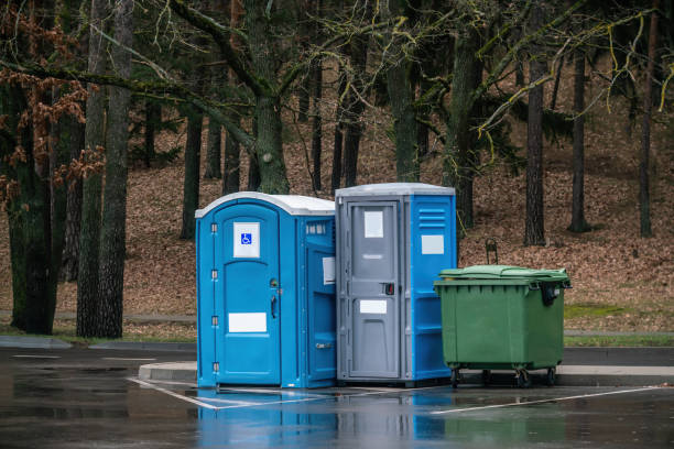 deux toilettes portatives dans un parc. l’un d’eux pour handicapés - porta potty photos et images de collection