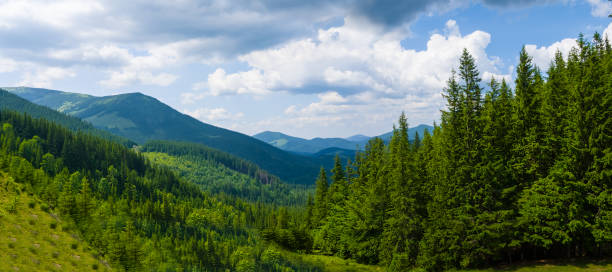 istock beautiful green mountain valley at the summer day 1294020306