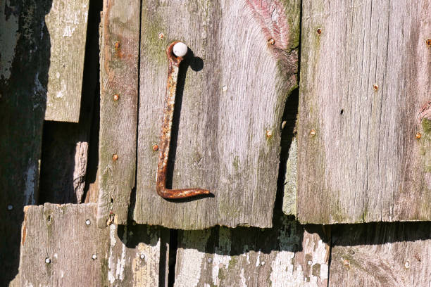 istock Antique Barn Door with Hook 1294023142