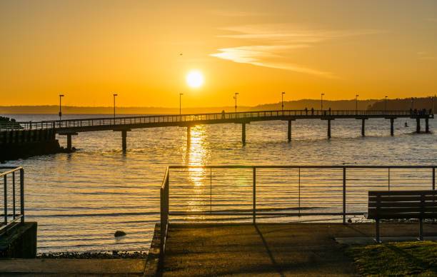 istock Pier And Golden Sky 2 1294024492
