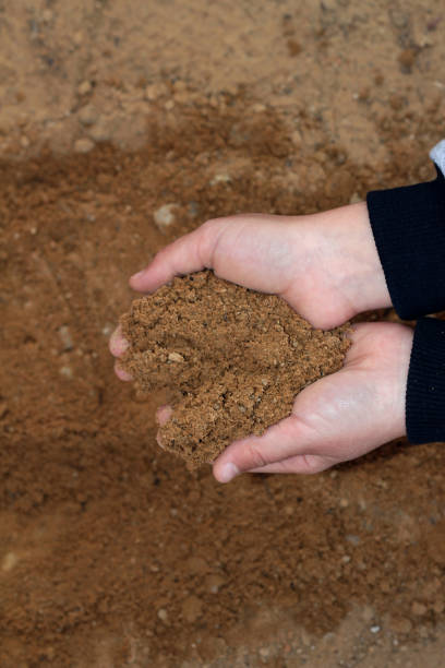 istock Sand in children's hands. A child is playing in the sandbox. 1294026078