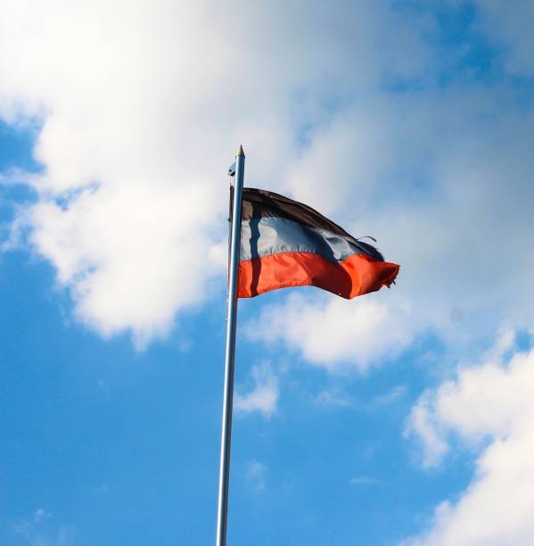 istock DNR flag on a background of blue sky. A disheveled flag. 1294027186