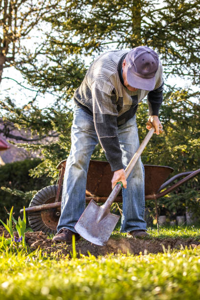 istock Man digging with spade in garden 1294030100